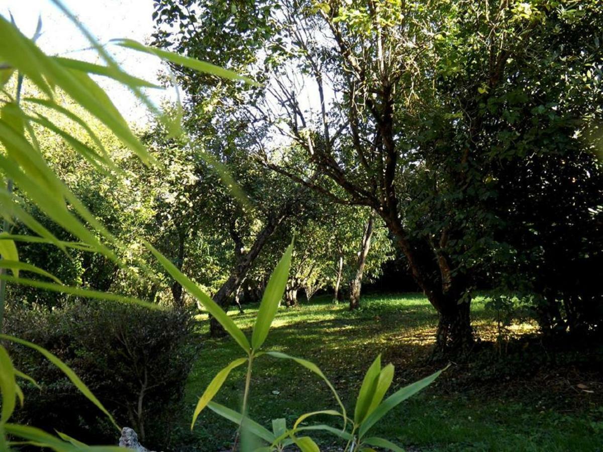 Domaine Pastel Bed & Breakfast Besson Exterior photo
